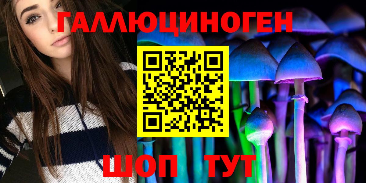 Галлюциногенные грибы Psilocybe Саянск